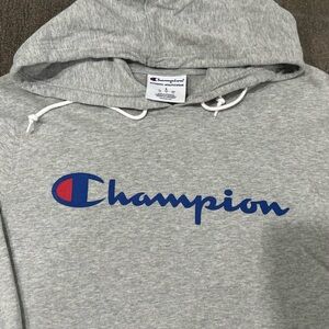Large men’s champion thin hoodie.